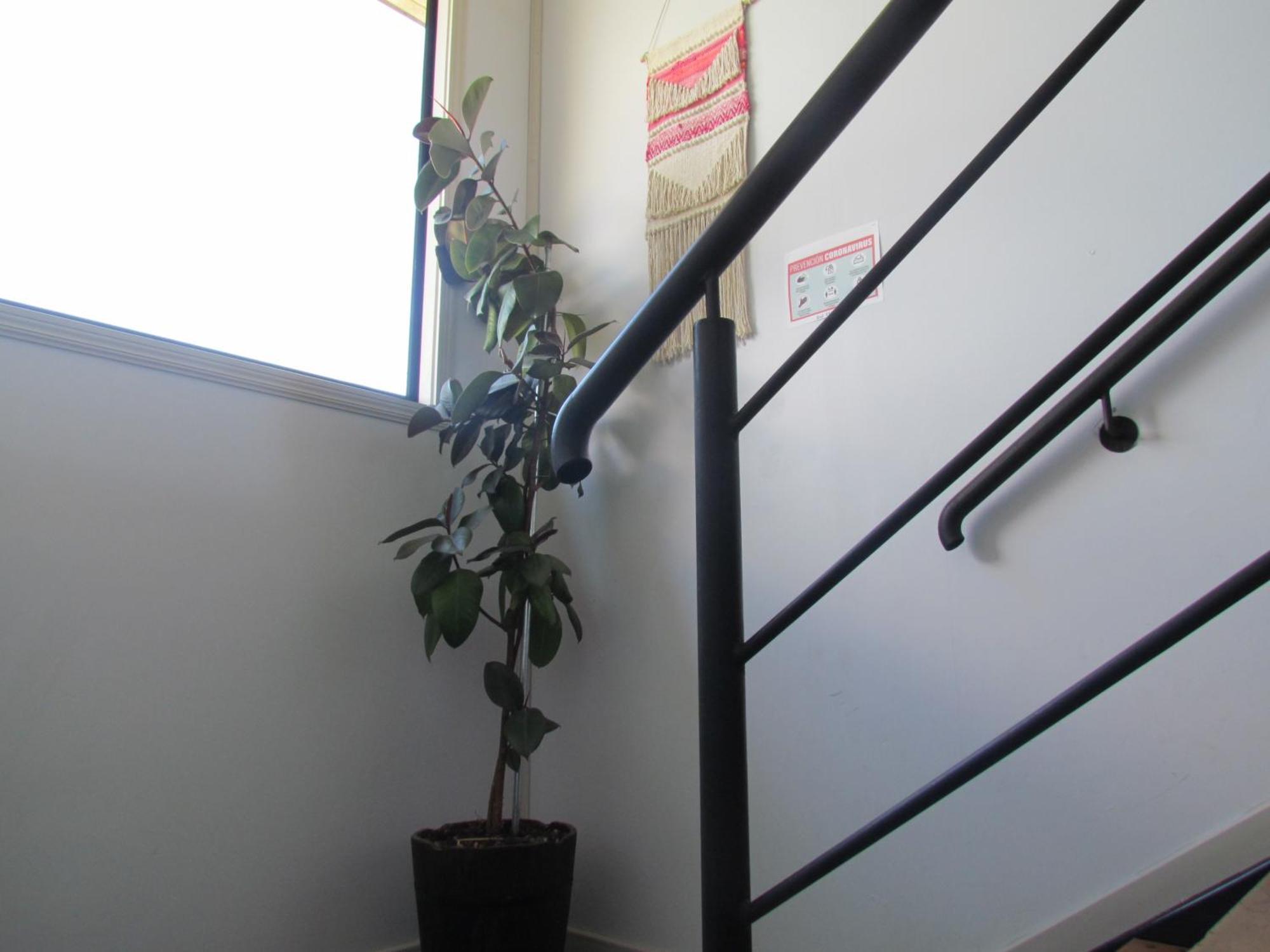 Hosteria Antupiren ออร์โนปีเรน ภายนอก รูปภาพ